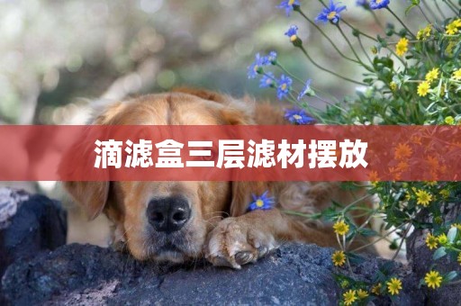 滴滤盒三层滤材摆放